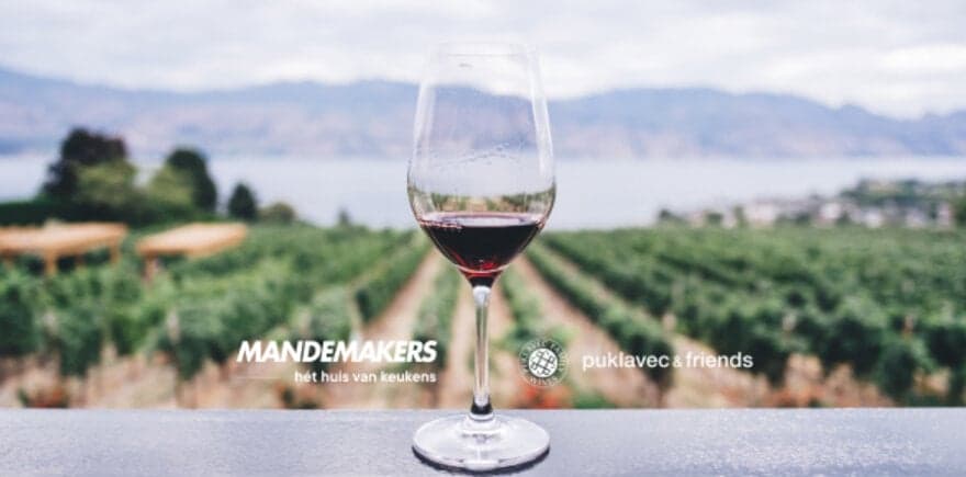 vineyard ,glass with red wine